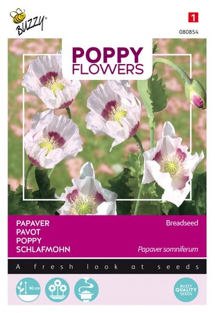 Buzzy® zaden - Poppy Flowers, Papaver Blauwmaanzaad - afbeelding 1