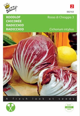 Buzzy® zaden - Roodlof Rossa di Chioggia 3 - afbeelding 1