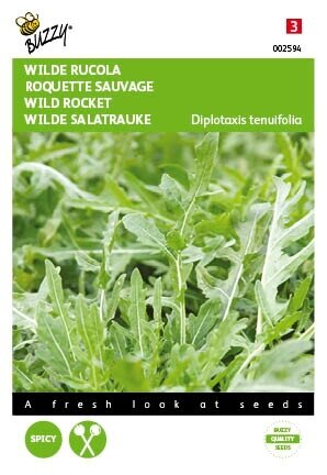 Buzzy® zaden - Rucola Selvatica - afbeelding 1