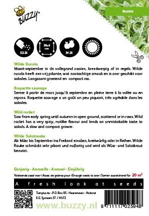 Buzzy® zaden - Rucola Selvatica - afbeelding 2