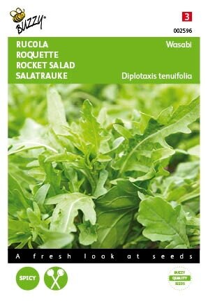 Buzzy® zaden - Rucola Wasabi - afbeelding 1