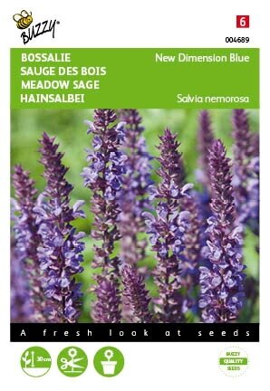 Buzzy® zaden - Salvia, Bossalie New Dimension Blue - afbeelding 1