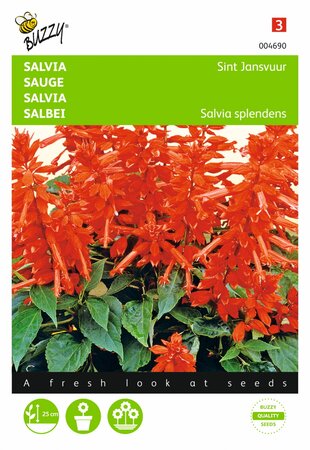 Buzzy® zaden - Salvia, Vuursalie Sint Jansvuur - afbeelding 1