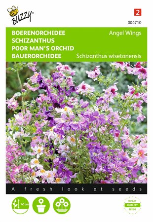 Buzzy® zaden - Schizanthus, Boerenorchidee Angel Wings - afbeelding 1
