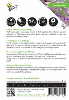 Buzzy® zaden - Schizanthus, Boerenorchidee Angel Wings - afbeelding 2