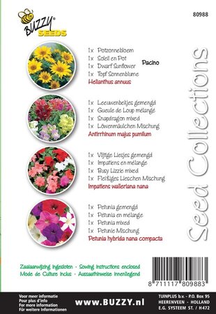 Buzzy® zaden - Seeds Collection Balcony Mix (4in1) - afbeelding 2