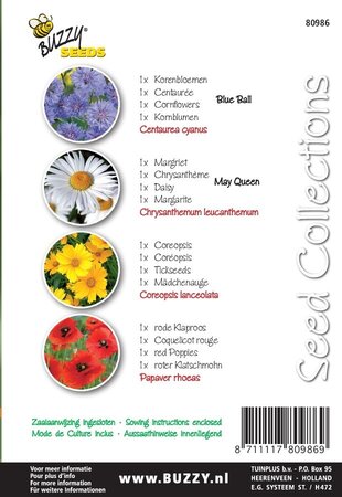 Buzzy® zaden - Seeds Collection Ladybugs Mix (4in1) - afbeelding 2