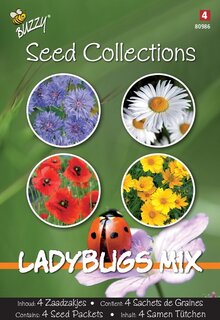 Buzzy® zaden - Seeds Collection Ladybugs Mix (4in1) - afbeelding 3