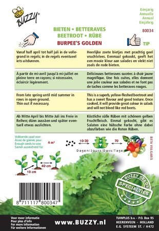 Buzzy® zaden - Specialties Bieten Burpee's Golden - afbeelding 2