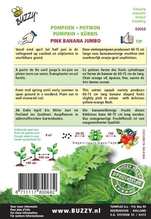 Buzzy® zaden - Specialties Pompoen Pink Banana Jumbo - afbeelding 2