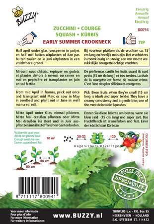 Buzzy® zaden - Specialties Zucchini Early Summer Crookneck - afbeelding 2