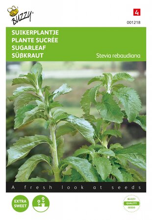 Buzzy® zaden - Stevia, Suikerplantje of Honingkruid - afbeelding 1