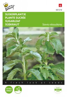 Buzzy® zaden - Stevia, Suikerplantje of Honingkruid - afbeelding 1