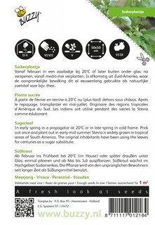 Buzzy® zaden - Stevia, Suikerplantje of Honingkruid - afbeelding 2