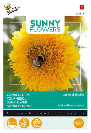 Buzzy® zaden - Sunny Flowers, lage Zonnebloem Sungold dubbelbloemig - afbeelding 1