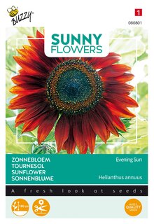 Buzzy® zaden - Sunny Flowers, Zonnebloem Avondzon - afbeelding 1