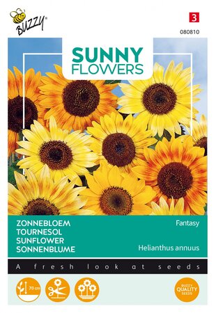 Buzzy® zaden - Sunny Flowers, Zonnebloem Fantasy - afbeelding 1