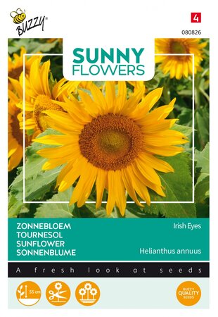Buzzy® zaden - Sunny Flowers, Zonnebloem Irish Eyes - afbeelding 1