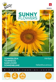 Buzzy® zaden - Sunny Flowers, Zonnebloem Irish Eyes - afbeelding 4