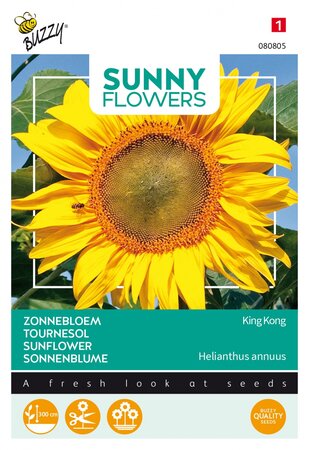 Buzzy® zaden - Sunny Flowers, Zonnebloem King Kong - afbeelding 1