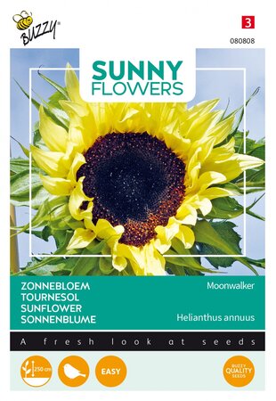 Buzzy® zaden - Sunny Flowers, Zonnebloem Moonwalker - afbeelding 1