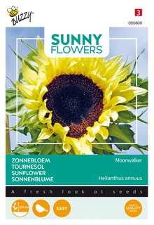 Buzzy® zaden - Sunny Flowers, Zonnebloem Moonwalker - afbeelding 2