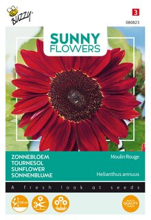 Buzzy® zaden - Sunny Flowers, Zonnebloem Moulin Rouge - afbeelding 1