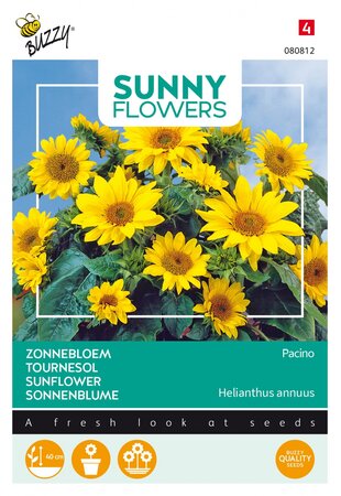 Buzzy® zaden - Sunny Flowers, Zonnebloem Pacino Gold - afbeelding 1