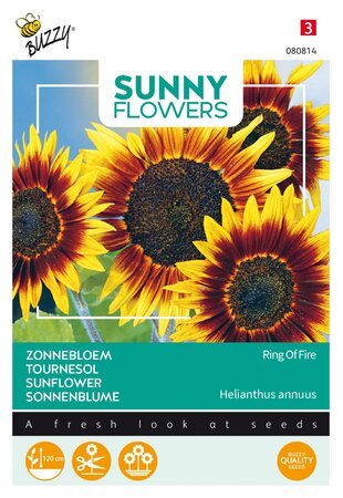 Buzzy® zaden - Sunny Flowers, Zonnebloem Ring of Fire - afbeelding 1