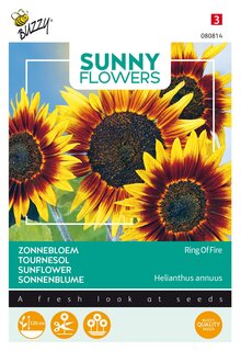 Buzzy® zaden - Sunny Flowers, Zonnebloem Ring of Fire - afbeelding 2