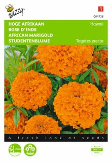 Buzzy® zaden - Tagetes, hoge Afrikaan Hawaii oranje - afbeelding 1