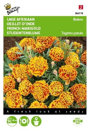 Buzzy® zaden - Tagetes, lage Afrikaan Bolero - afbeelding 1