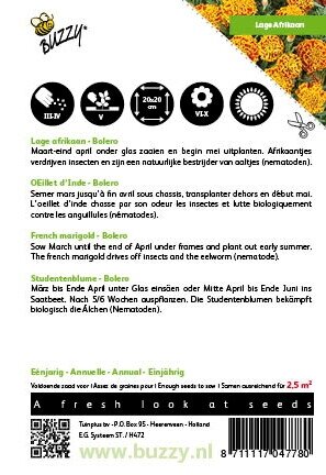 Buzzy® zaden - Tagetes, lage Afrikaan Bolero - afbeelding 2