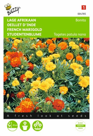 Buzzy® zaden - Tagetes, lage Afrikaan Bonita - afbeelding 1