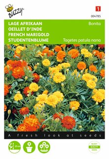 Buzzy® zaden - Tagetes, lage Afrikaan Bonita - afbeelding 1