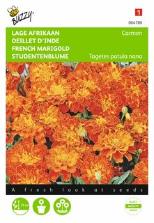 Buzzy® zaden - Tagetes, lage Afrikaan Carmen - afbeelding 1