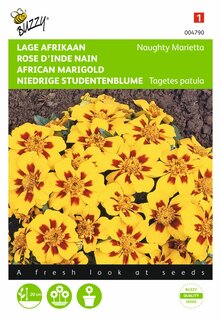 Buzzy® zaden - Tagetes, lage Afrikaan Naughty Marietta - afbeelding 1