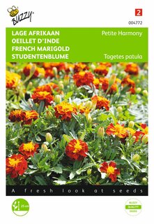 Buzzy® zaden - Tagetes, lage Afrikaan Petite Harmony - afbeelding 1