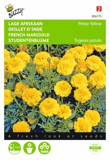 Buzzy® zaden - Tagetes, lage Afrikaan Petite Yellow - afbeelding 1