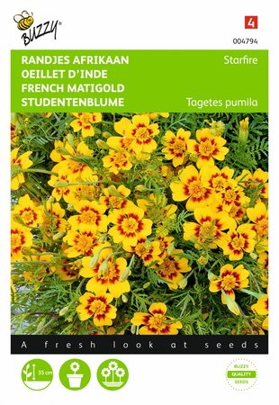 Buzzy® zaden - Tagetes, randjes Afrikaan Starfire - afbeelding 1