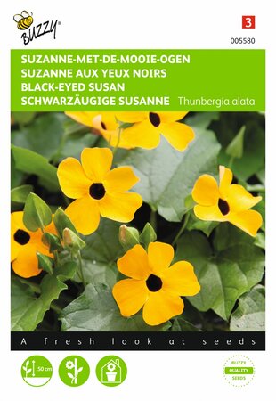 Buzzy® zaden - Thunbergia, Suzanne-met-de-mooie-ogen - afbeelding 1