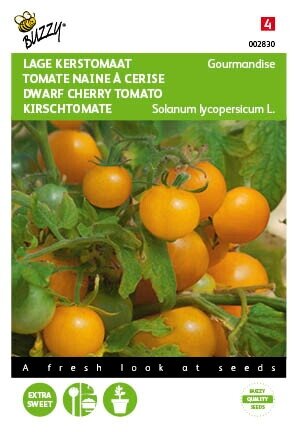 Buzzy® zaden - Tomaten Gourmandise (gele cherry patio) - afbeelding 1