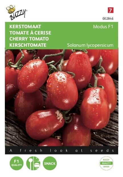 Buzzy® zaden - Tomaten Modus F1 - afbeelding 1
