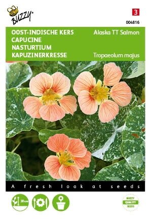 Buzzy® zaden - Tropaeolum, Oost-indische kers Alaska TT Salmon - afbeelding 1