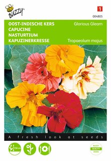 Buzzy® zaden - Tropaeolum, Oost-Indische kers Glorious Gleam - afbeelding 1