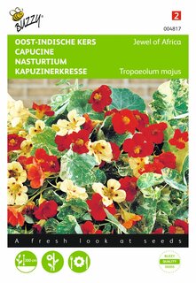 Buzzy® zaden - Tropaeolum, Oost-Indische kers Jewel of Africa - afbeelding 1