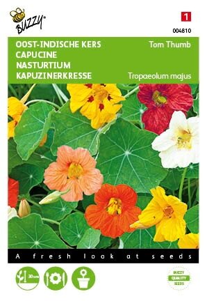 Buzzy® zaden - Tropaeolum, Oost-Indische kers Tom Thumb gemengd - afbeelding 1