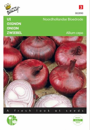 Buzzy® zaden - Ui Noordhollandse Bloedrode - afbeelding 1