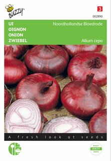 Buzzy® zaden - Ui Noordhollandse Bloedrode - afbeelding 1