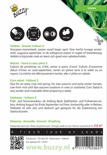 Buzzy® zaden - Veldsla Groene Volhart 2 - afbeelding 2